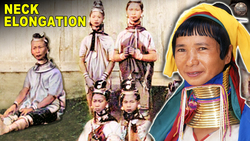 Facts About Neck Elongation Instructional Video