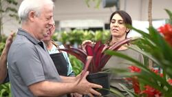 Family shop for plants with Salesman at Flower Market Stock Footage