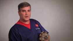 How to Tell If Your Snake is Male or Female Instructional Video