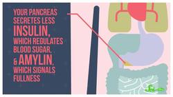 The Real Reason It's So Hard to Lose Weight Instructional Video