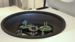 CLEAN : Scientists in Stockholm test wastewater for traces of Covid-19 News Clip