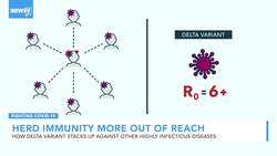 Is Herd Immunity Out Of Reach? News Clip