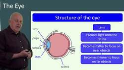 The Structure and Function of the Human Eye Instructional Video