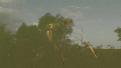 Everglades National Park - Conclusion Instructional Video