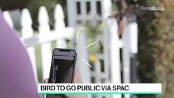 Bird Expands to Electric Bikes News Clip