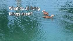 Abiotic Components Instructional Video