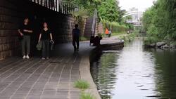 'Oppa' tour guide service in South Korea for visiting Hallyu fans News Clip