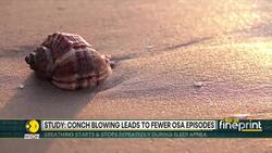 Study reveals conch blowing led to 34% less sleepiness during the day News Clip