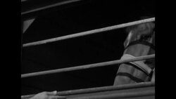 French cavalrymen walk blanketed horses on to train cars in Saumur, France News Clip