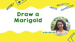Marigold Drawing Guide Instructional Video