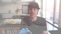 The Female Reproductive Cycle: Fate of the Egg and Corpus Luteum Instructional Video