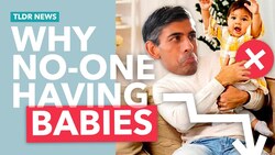 The UK’s Baby Shortage (and the Government's Plans to Fix it) Instructional Video