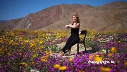 Chair Yoga to Target Lower Abs, Thighs & More Instructional Video