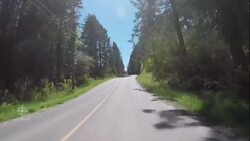 Ottawa pushes electric vehicles, so why aren't drivers flocking to them? News Clip