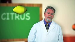 The Best Way to Get the Calcium Your Bones Need Instructional Video