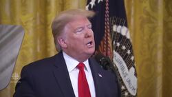 U.S. President Trump lays out Israeli-Palestinian peace plan News Clip