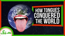 How Tongues Helped Vertebrates Conquer Land Instructional Video