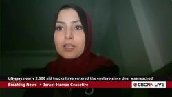 Gaza aid worker says help is coming, but distribution struggles to keep up News Clip
