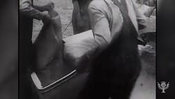 Did You Know? The New Deal Instructional Video