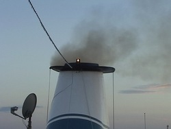 Problemas ambientales y soluciones: ejemplos de problemas ambientales Instructional Video