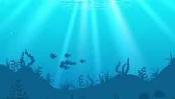 Aquatic animals in underwater world Stock Footage