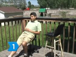 How to Buy Ferrets Instructional Video