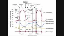 More Pressure-Volume (PV) Curves Instructional Video