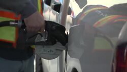 Biden releasing 1 million barrels of gasoline from Northeast reserve in bid to lower prices at pump News Clip