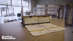 What Earth Looks Like When Everything Stops News Clip