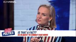 Raw Politics: how can Europe filter what's fact and what's fake news? News Clip