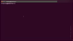 Bash Shell Scripting - Shell Prompt Customization Instructional Video