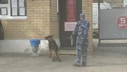 CLEAN : Russia: Images outside prison hospital after Navalny transfer News Clip