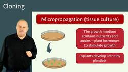 Introduction to Cloning: Techniques and Applications Instructional Video