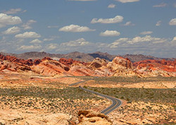 Ecosystem Management: Deserts Instructional Video