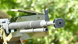 machine gun in a position in the forest Stock Footage