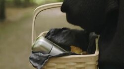 Woman picking mushrooms and drinking coffee in the forest Stock Footage