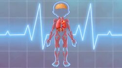 On the Move Instructional Video