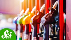 5 Ways CRISPR Is About to Change Everything Instructional Video