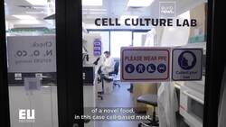 EU DECODED: Could lab-grown meat arrive in supermarkets soon? News Clip