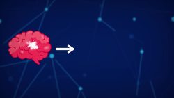 The Brain Instructional Video