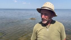 VOICED : Un científico ucraniano cuenta los delfines muertos por la guerra News Clip