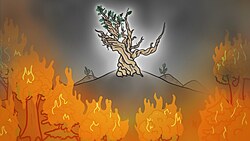 The 3 Reasons This Tree Has Lived 5000 Years Instructional Video