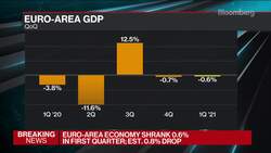 Euro Area Economy Slips Into Double-Dip Recession News Clip