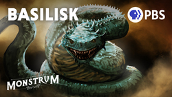 Basilisk or Cockatrice? The Mysterious King of Serpents Instructional Video