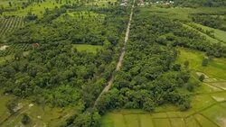 A magnificent aerial of road trip mountain forest and the wildest vegetation, Mekong River. North east in Thailand. Concept of: power, adventure, nature and water. Stock Footage