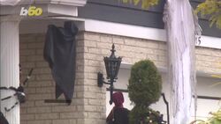 How to Keep Your Pets Safe This Halloween! Instructional Video