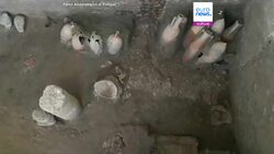 Precious antique Egyptian vase found in Pompeii 'street food' area News Clip