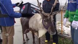 Pizza delivery reindeer in Japan News Clip