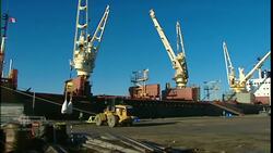 Ottawa strengthens protections for whale populations News Clip