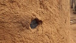 CLEAN : The Nigerian border village on the edge of Cameroon's separatist conflict News Clip